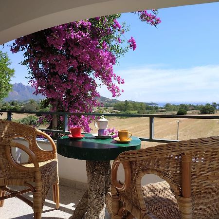 Vacanza In Ogliastra Tertenìa Exteriör bild