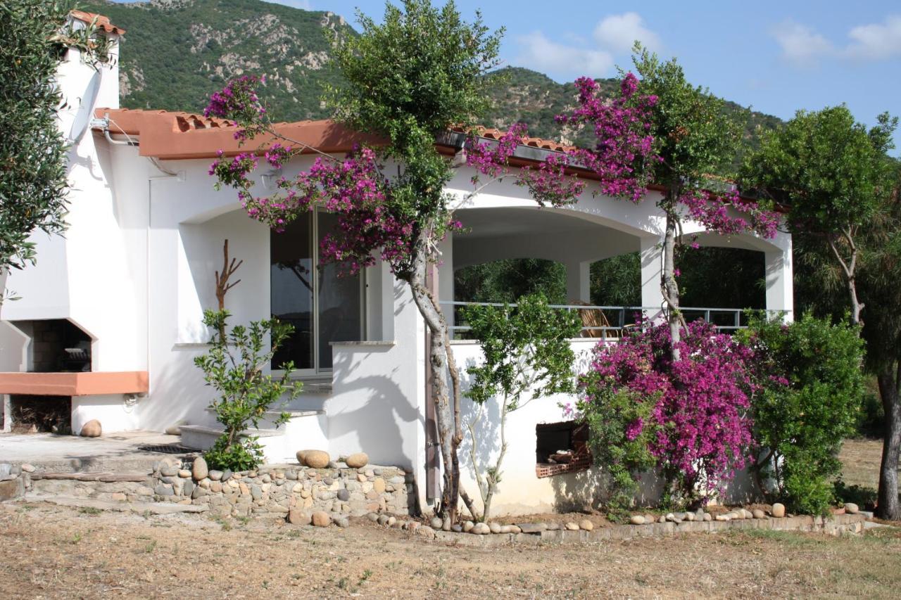 Vacanza In Ogliastra Tertenìa Exteriör bild