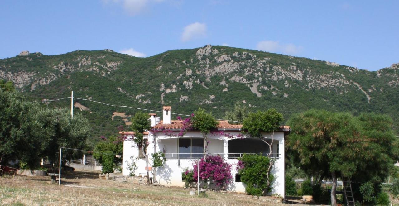 Vacanza In Ogliastra Tertenìa Exteriör bild