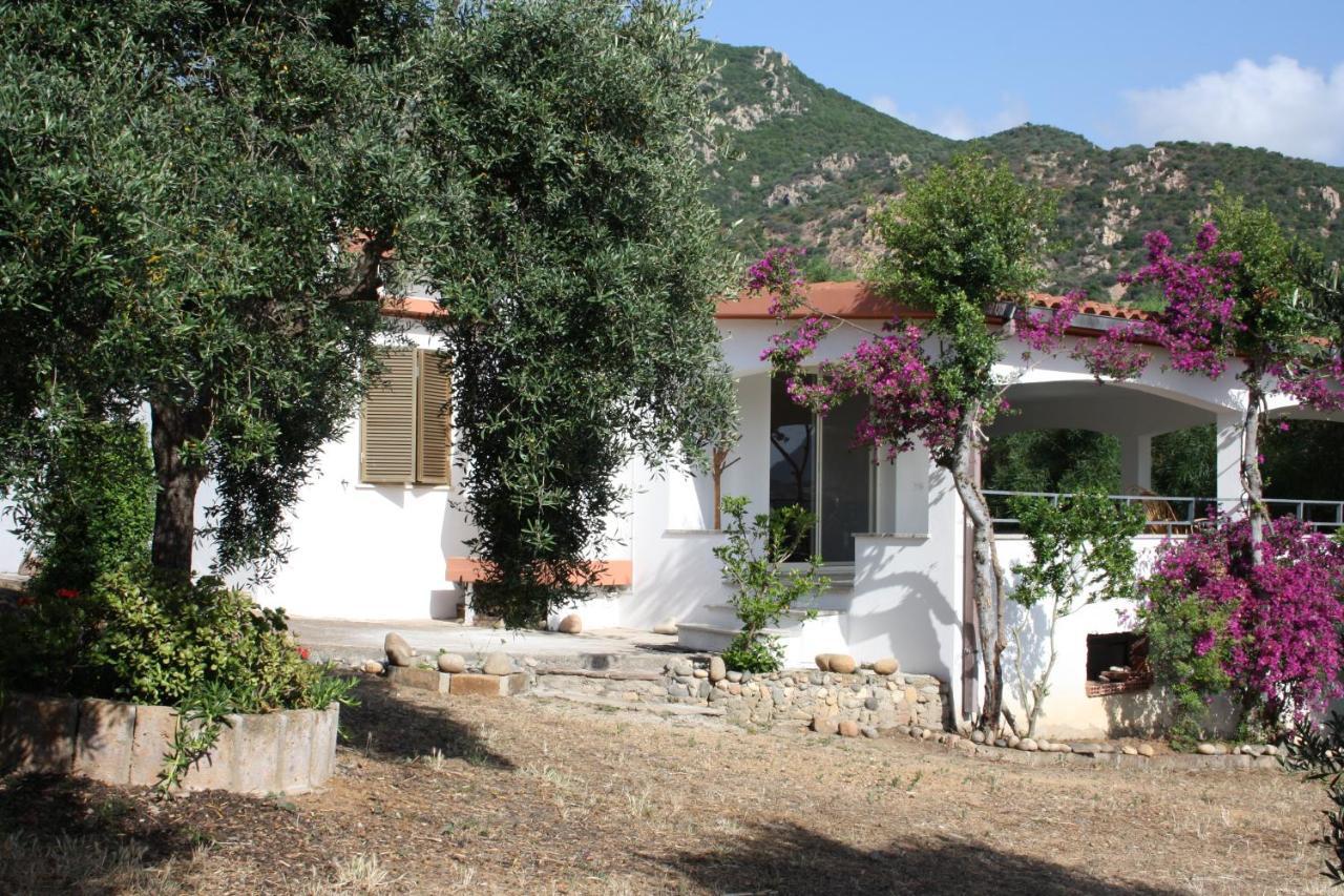 Vacanza In Ogliastra Tertenìa Exteriör bild