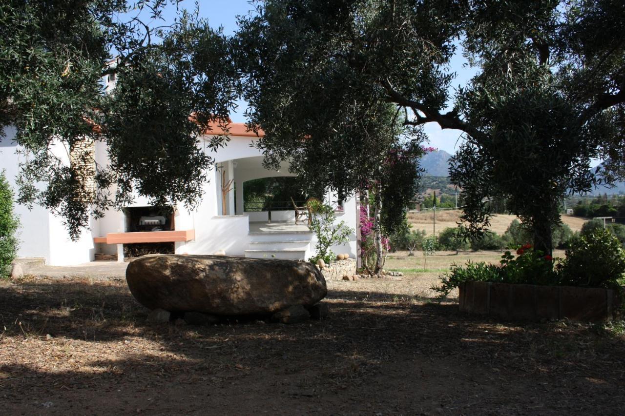 Vacanza In Ogliastra Tertenìa Exteriör bild