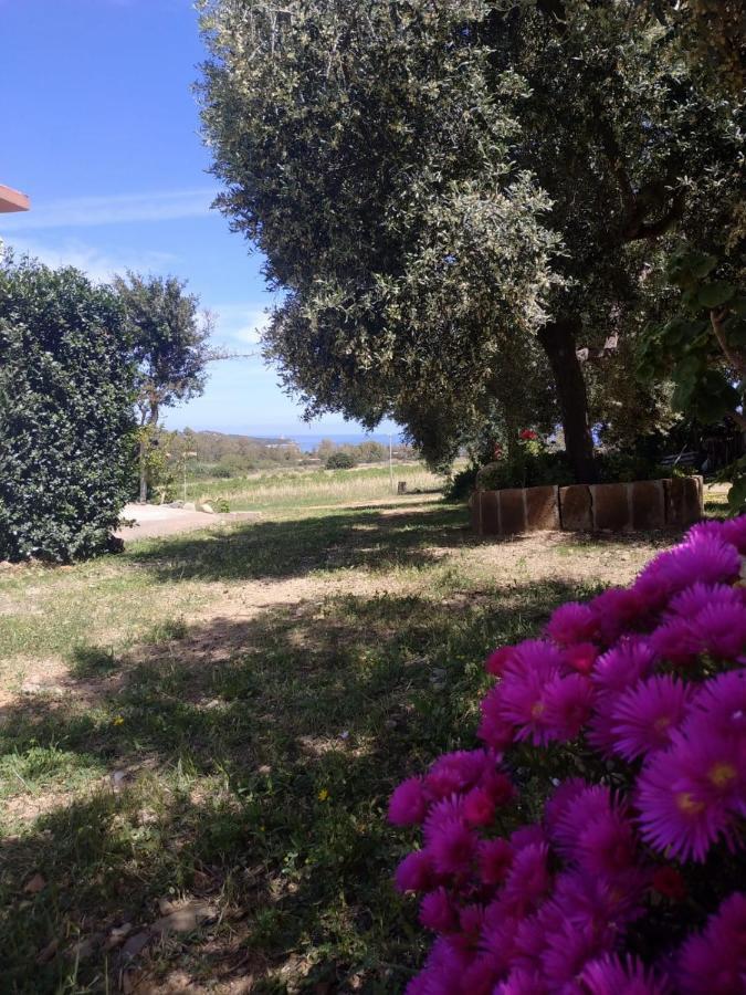 Vacanza In Ogliastra Tertenìa Exteriör bild
