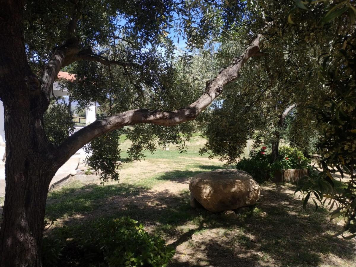 Vacanza In Ogliastra Tertenìa Exteriör bild