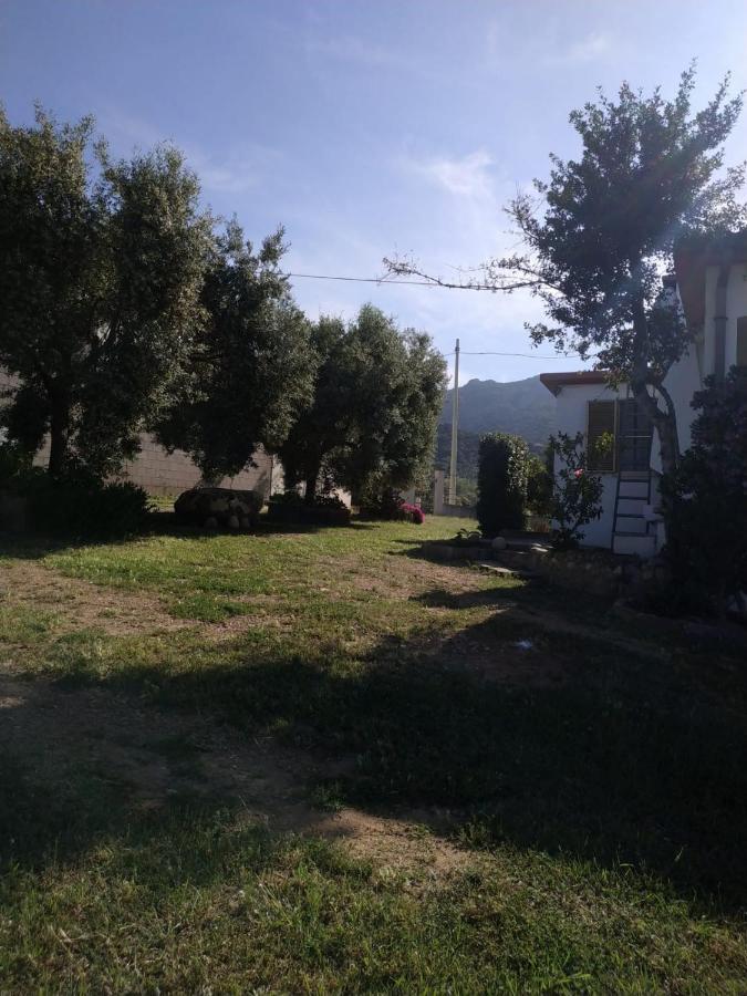Vacanza In Ogliastra Tertenìa Exteriör bild