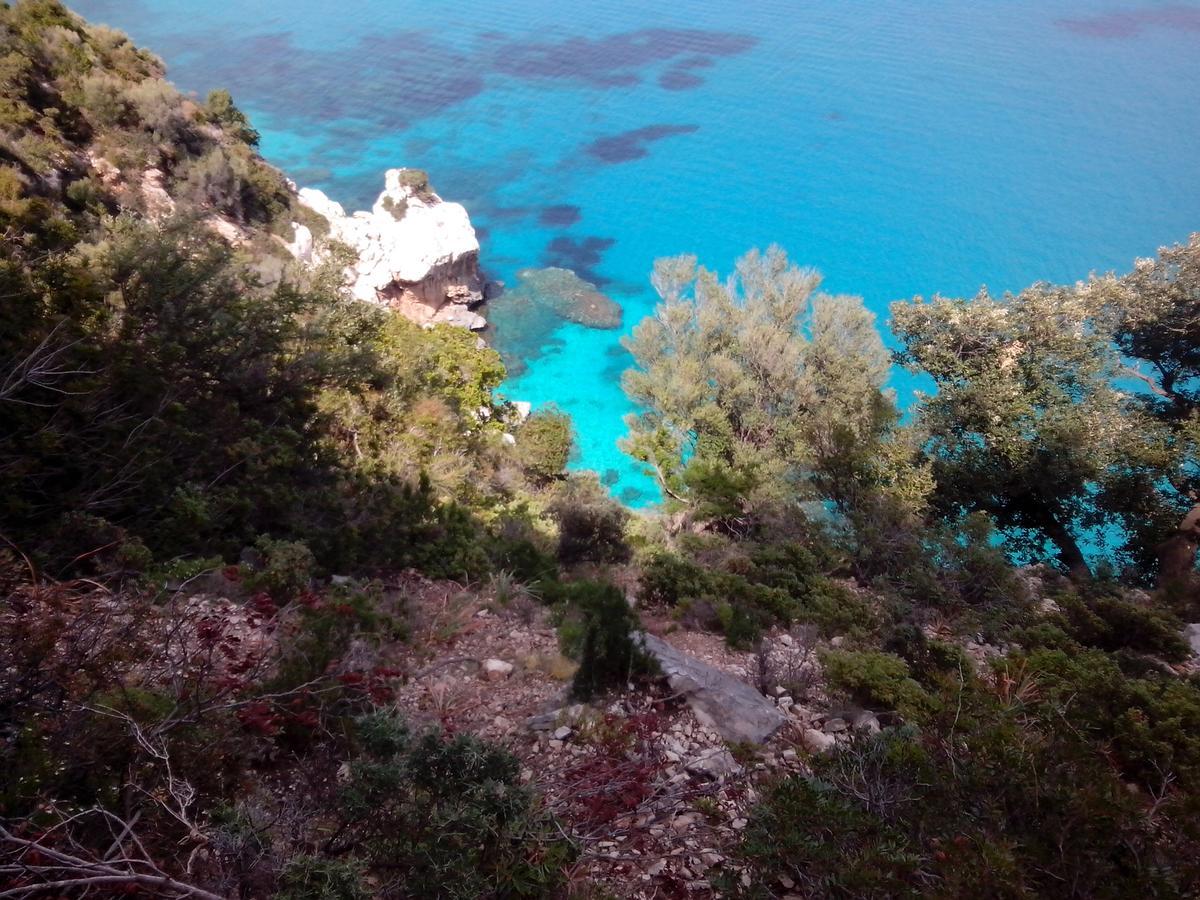 Vacanza In Ogliastra Tertenìa Exteriör bild