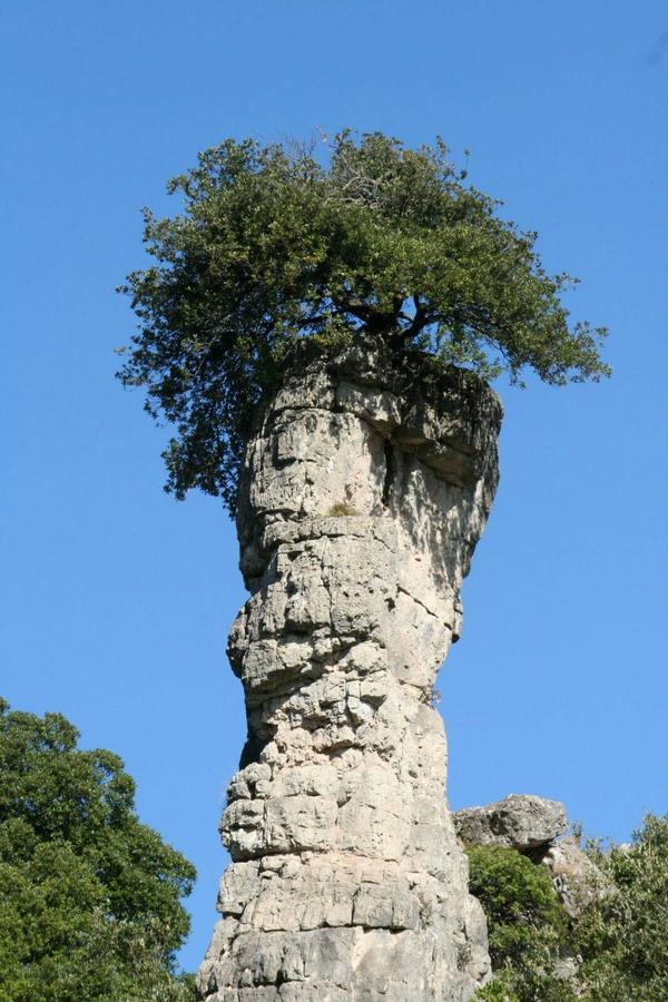 Vacanza In Ogliastra Tertenìa Exteriör bild
