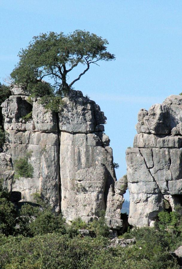 Vacanza In Ogliastra Tertenìa Exteriör bild