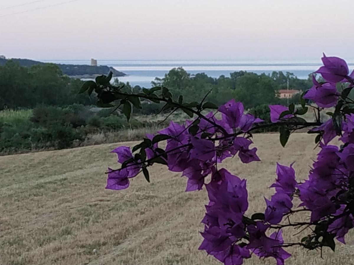 Vacanza In Ogliastra Tertenìa Exteriör bild